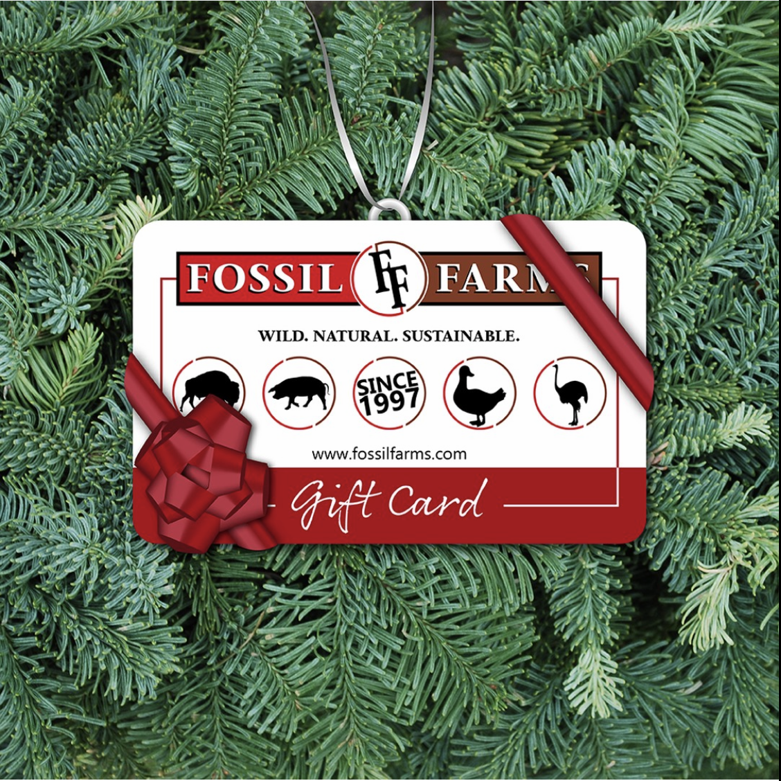 Christmas Gift Card Social Post